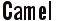 Camel